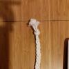 tresse.jpg tresse.jpg