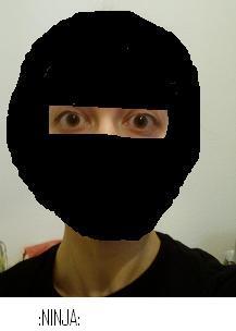 ninja.JPG