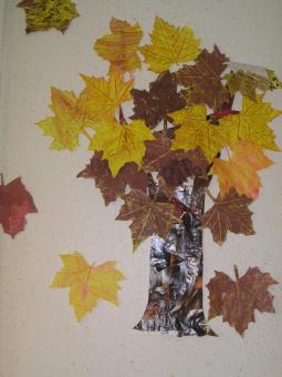 arbre automne.JPG