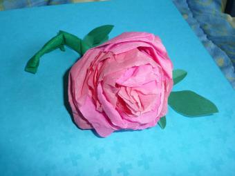 rose en papier