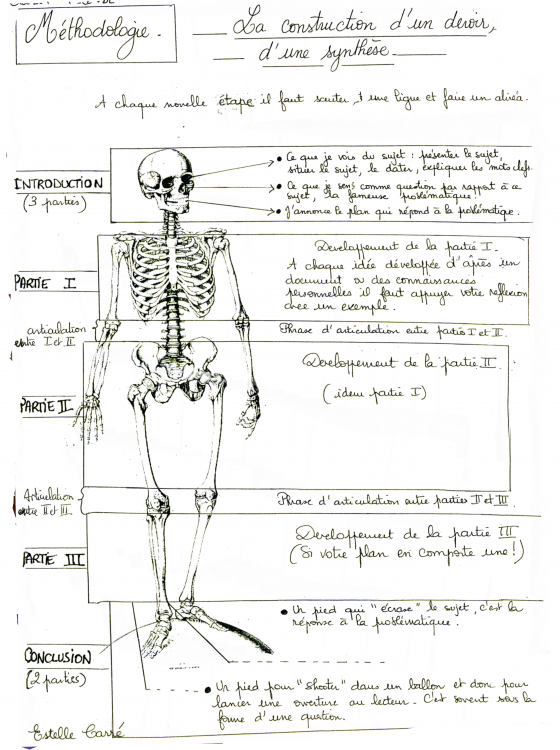 Scan Estelle CARRE professeur de lettres Construction d'un devoir Synthèse.png