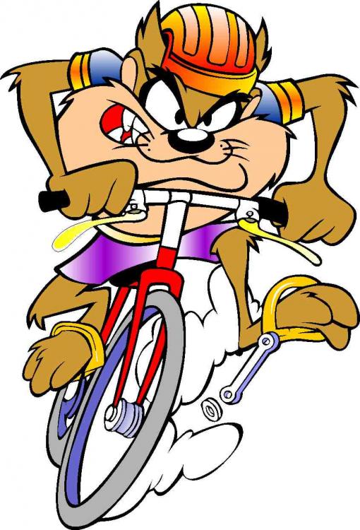 taz_bike.jpg