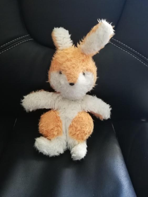 doudou lapin.jpg