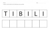 TIBILI : coller des lettres sous un modèle