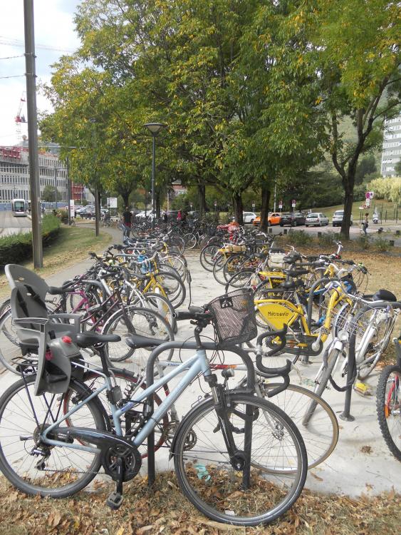 vélos gare de Gre.JPG