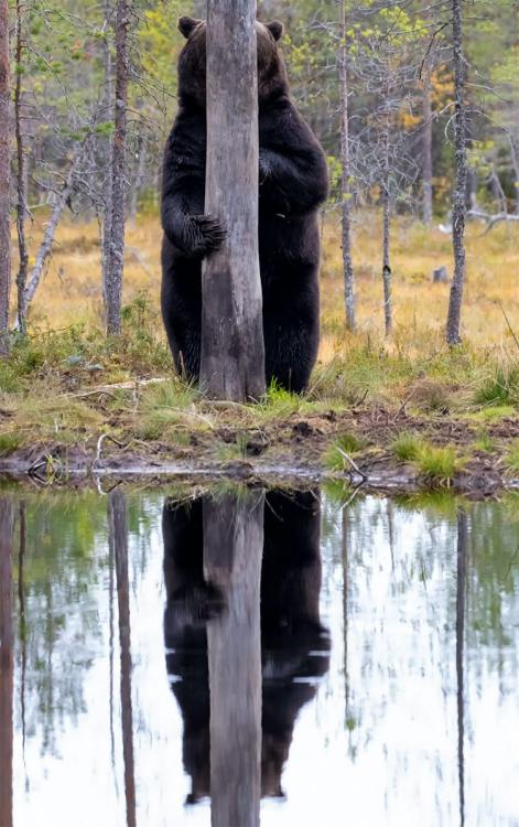 comedy-wildlife-photography-awards-2020-12-752x1200.jpg