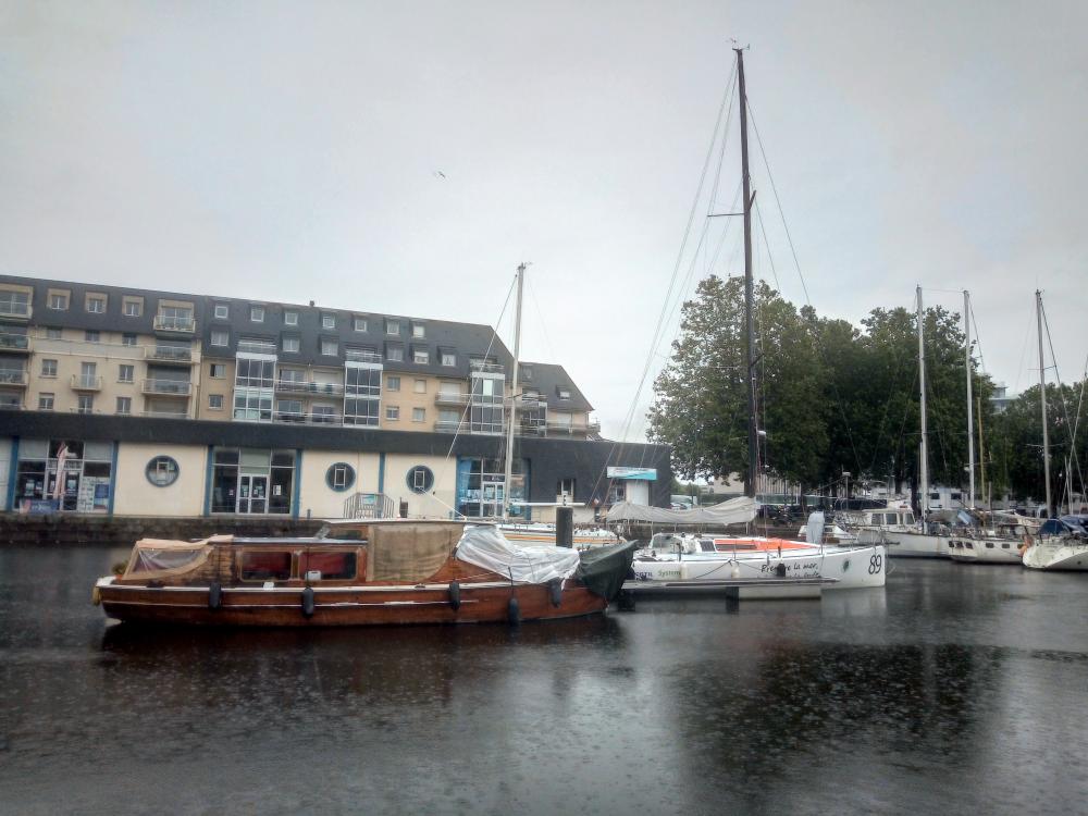 IMG_20210625_173701112.jpg