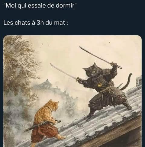 nnnnnn.jpg.5516c3f84d8fc844984db4513bd0babf.jpg
