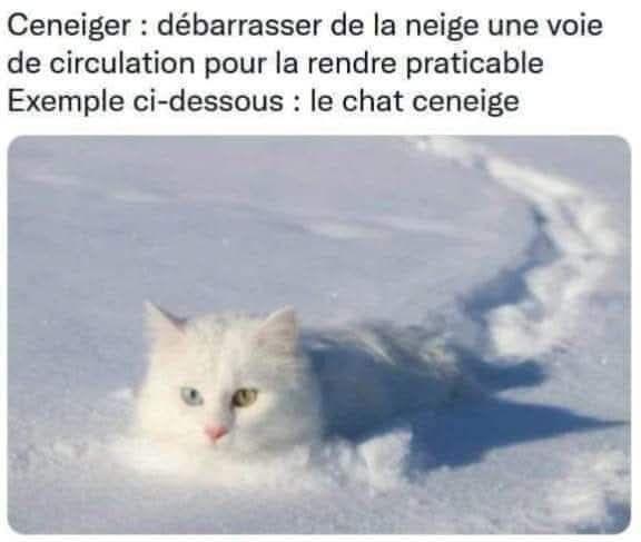 nnnnnn.jpg.c8fe314a58d3b9892ac80ae93cb659b8.jpg