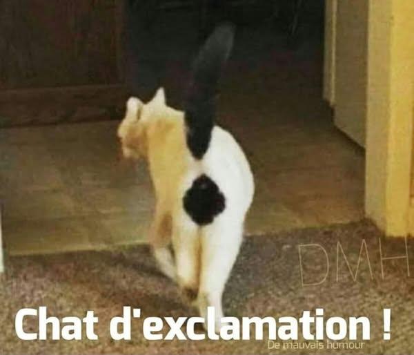 nnnnnnn.jpg.e38dca95502a204988a1cf8b867a4aa8.jpg