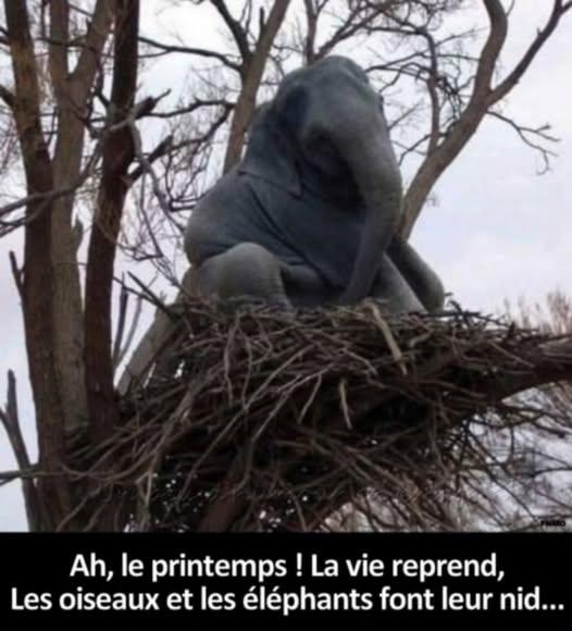nnnnnnnnnnnnnnn.jpg.6eb052ad6b01c23277efa8997d7d37a8.jpg