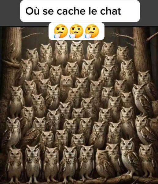 493325895_996340232608112_5874491681426956248_n.jpg.28ab2c12bf33fce0ea23bad623923459.jpg