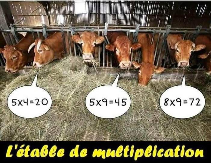 495224953_720061040551796_1810242041740599840_n.jpg.556c5de46aa5489b14fd0e85597dac71.jpg