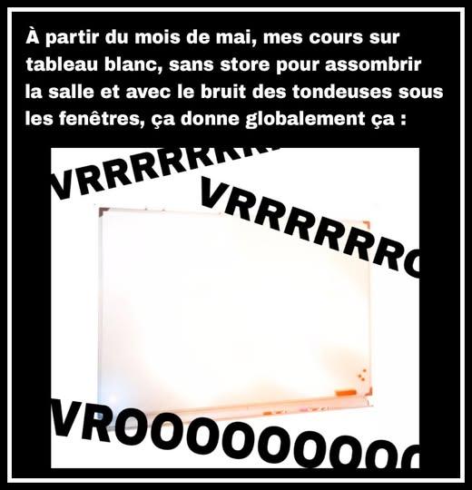 497761446_1215742757008766_3767916882384101853_n.jpg.dcf5fb9d3a127be5f0074ee3fc0b7747.jpg