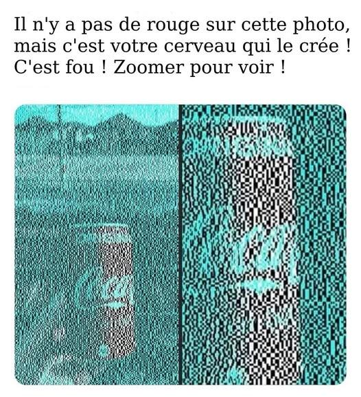 497814465_1090607139753469_961435478169372536_n.jpg.6173967f94ea68826a4e58a031bc1f05.jpg