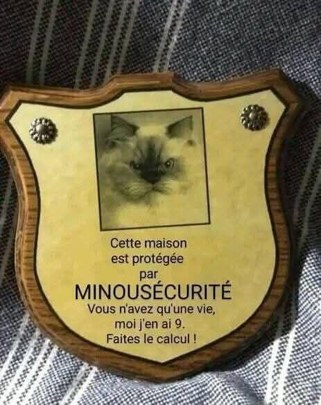 500261936_1092059362773105_6714027305028385106_n.jpg.7542c8b1da617781a1ca081467215529.jpg