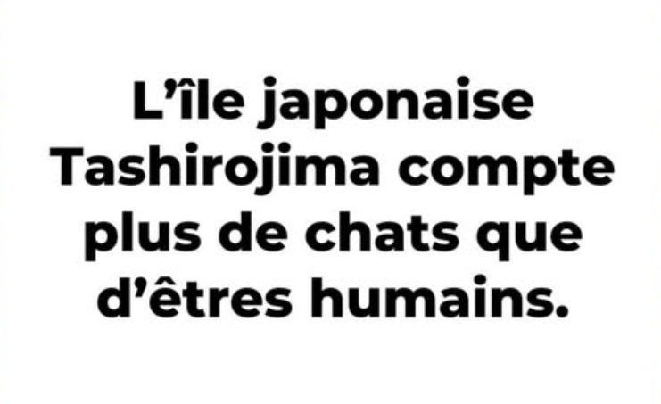 Capturedcran2025-05-11224935.png.8d70025d641e5954aa81f7f733406880.png