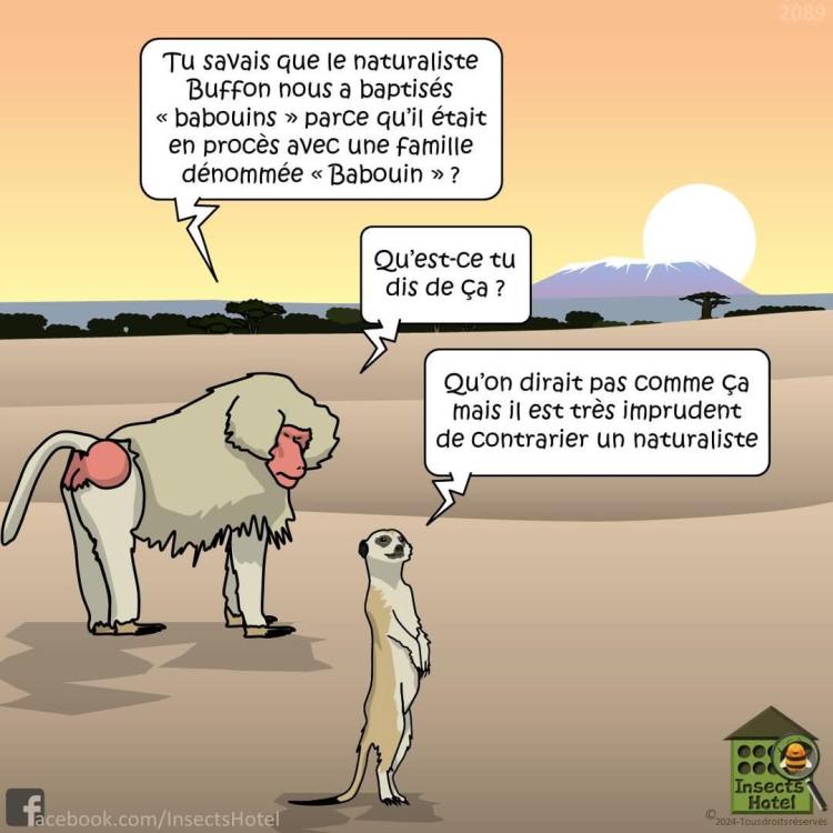 FB_IMG_1746968152533.jpg