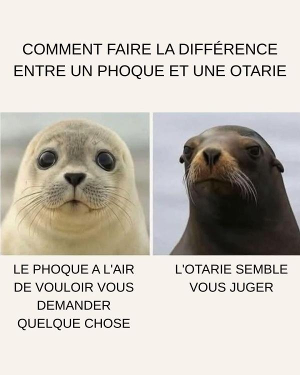 FB_IMG_1747111849361.jpg