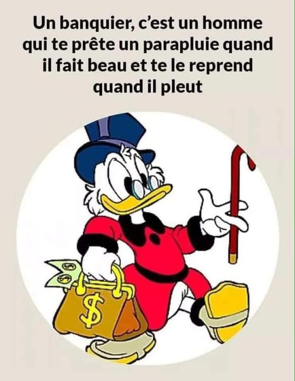 FB_IMG_1747163835678.jpg