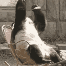 image.gif.268163efd6c2f5d7e5922c5f4e8ba989.gif