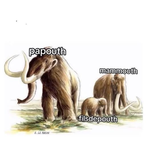 image.jpeg.5f75439617a30d7bcce423dca0d958e4.jpeg