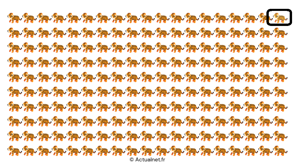 image.thumb.png.5b92c10dc6ea9db9d4e599f384390de9.png.92246b8ec94beb72e26f934b676fdc6b.png