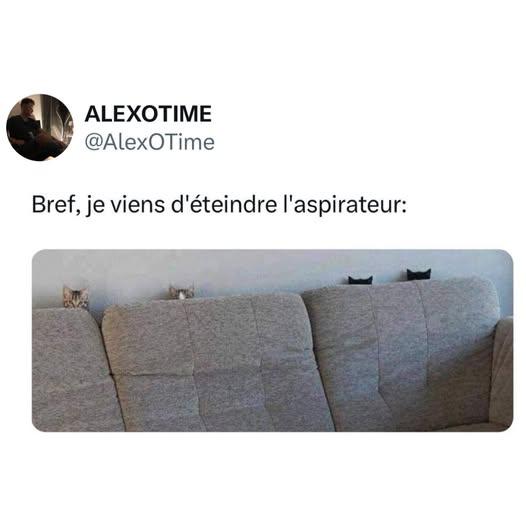 zz.jpg.aa840f39466eadc69cb0635c0ee891f1.jpg
