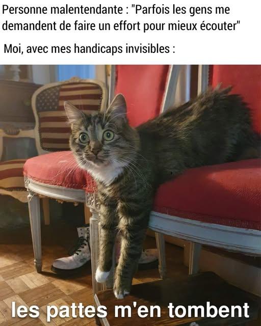 zzz.jpg.e5c1417660391cbdc79f1588fbe6c74e.jpg