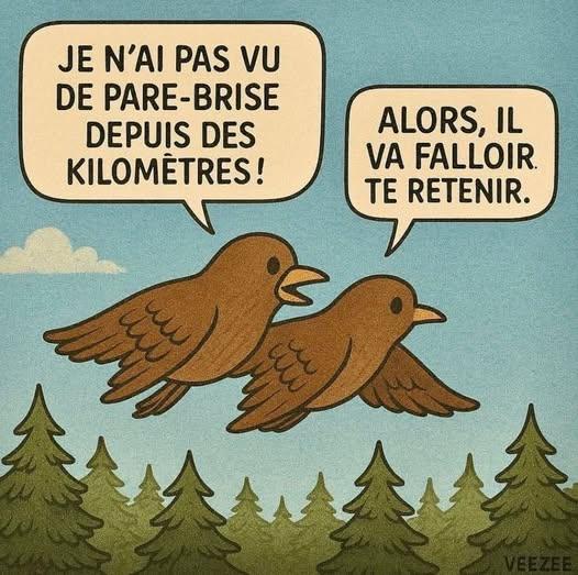zzzzzz.jpg.c6ff6ebd2b218b26cd261e6b7448a427.jpg