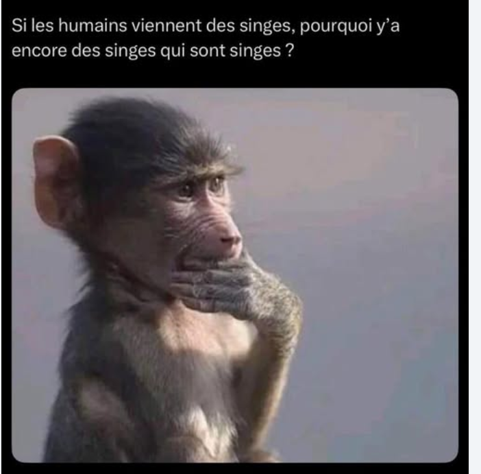 Capturedcran2025-06-04111759.png.010d55787172c72a92c2da04b3db1c01.png