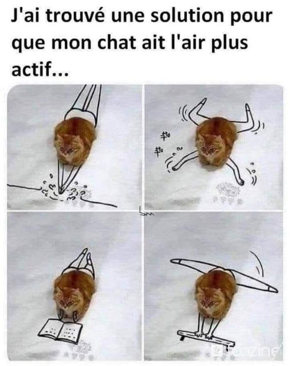 FB_IMG_1749020192733.jpg