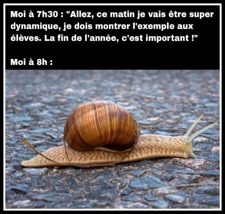FB_IMG_1749539920376.jpg