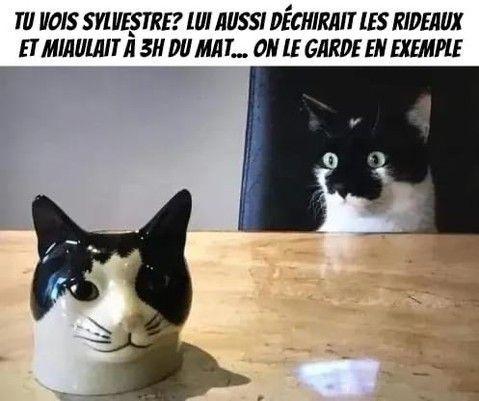xx.jpg.478cd63dead30499e333885ebf8a92c4.jpg