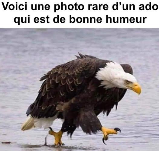 xxxx.jpg.482fc4f80cf89fe676f542b1b6485195.jpg
