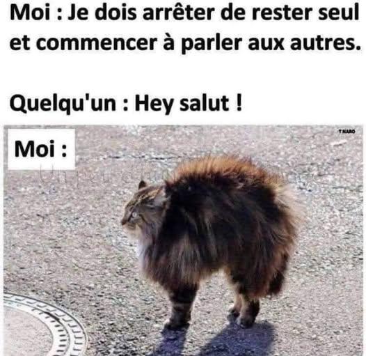 xxxx.jpg.7e3a9369276fbfceda856452fa695401.jpg