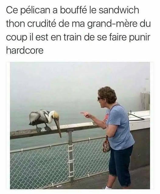 xxxxxxxxxxx.jpg.d2b9af72263eb906d750e3bec92cd433.jpg