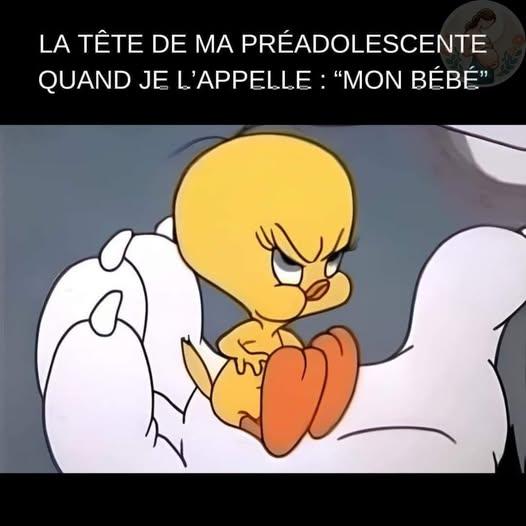 xxxxxxxxxxxxxxx.jpg.26adc3885e57588bdd913deb18885131.jpg