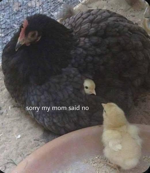 xxxxxxxxxxxxxxxx.jpg.0ec32e37d2b58419d2d9f3f10b2e5a21.jpg