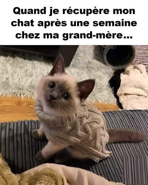 xxxxxxxxxxxxxxxxx.jpg.78b6d881929c13c44771728e12f2f4c3.jpg