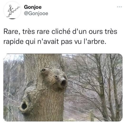 xxxxxxxxxxxxxxxxxxxxx.jpg.0a98d3add0f5a66495b289ac7b686835.jpg