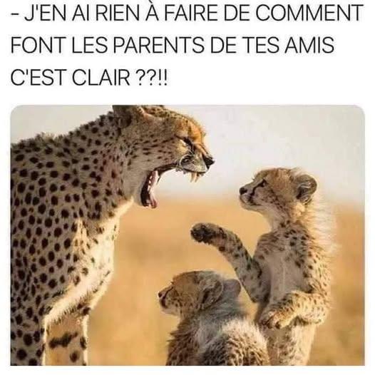 xxxxxxxxxxxxxxxxxxxxxx.jpg.cb37069e8138a43de1cab399e09a5d43.jpg