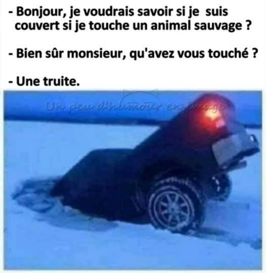 xxxxxxxxxxxxxxxxxxxxxxxxxxxxxx.jpg.1397aeb8ac555a865f504ae5e061b474.jpg