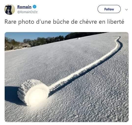 xxxxxxxxxxxxxxxxxxxxxxxxxxxxxxxxxxxxxxx.jpg.5dd5b9abbf3e404bf650606193d5d896.jpg