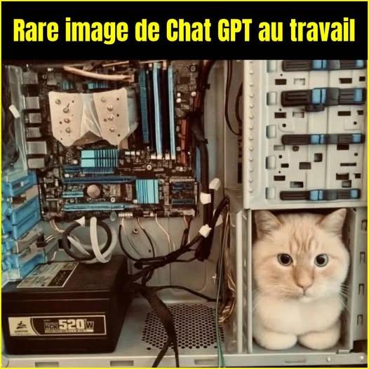 518279063_1139349364885821_3783218571643238846_n.jpg.642fea65f5d595f9af39482eb3e18204.jpg