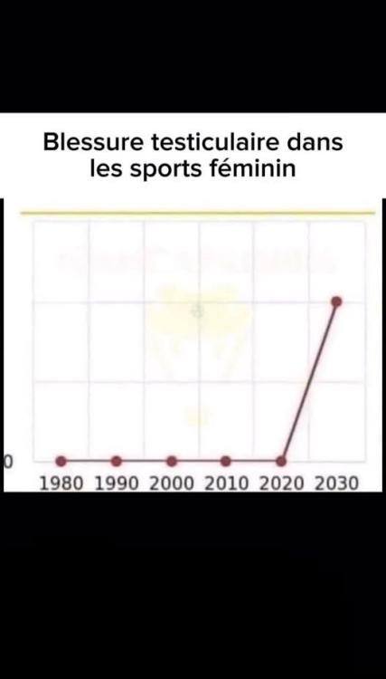 526156331_23948775521481753_1070077598721097334_n.jpg