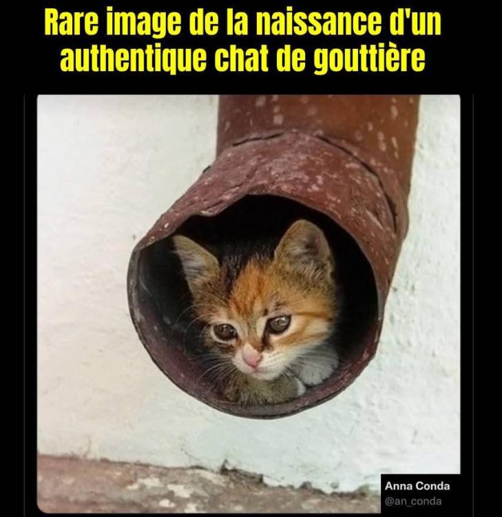 FB_IMG_1752229973663.jpg