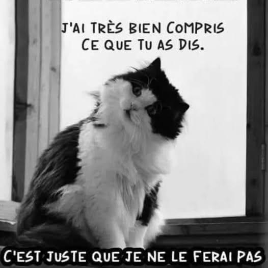 image.jpeg.39c3523dbb91b7237ad81849e72b12cd.jpeg