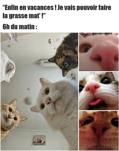 image.jpeg.b2f792642f379ab9cf668b277dcefee8.jpeg