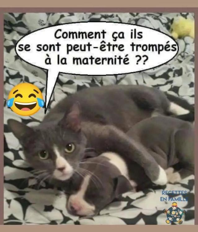 image.thumb.jpeg.c48d4e1b6547ada4b80c02c01d27f93a.jpeg